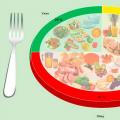 Правда или миф, что нужно есть часто и небольшими порциями Питание сколько раз в день